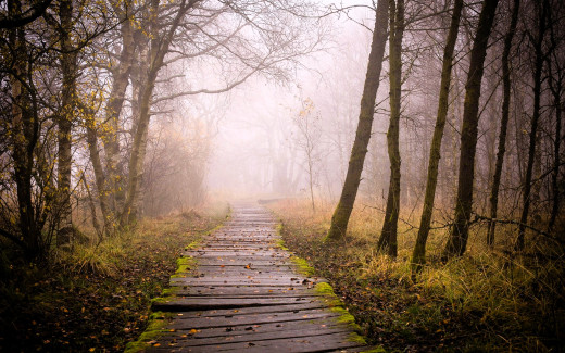 1754334 (a): :1920x1200